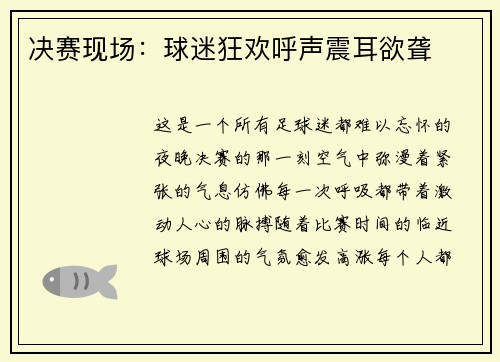 决赛现场：球迷狂欢呼声震耳欲聋